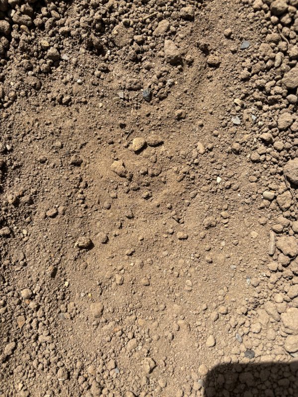Screened Top Soil